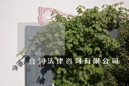 合润法律咨询有限公司 合润法律咨询有限公司