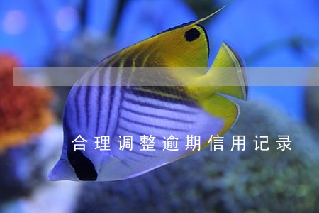 合理调整逾期信用记录 合理调整逾期信用记录
