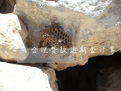 合理贷款逾期金计算方法 合理贷款逾期金计算方法