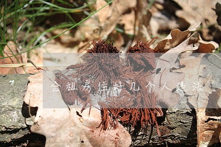 合租房住好几个人违法
