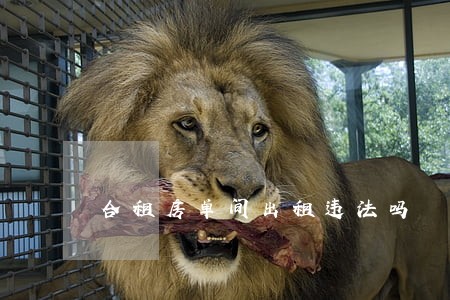 合租房单间出租违法吗 合租房单间出租违法吗