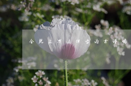 合肥上岸法律咨询靠谱吗