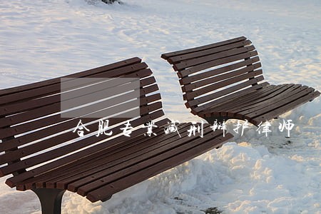 合肥专业减刑辩护律师 合肥专业减刑辩护律师