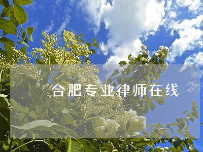 合肥专业律师在线 合肥专业律师在线