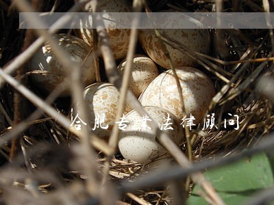合肥专业法律顾问 合肥专业法律顾问