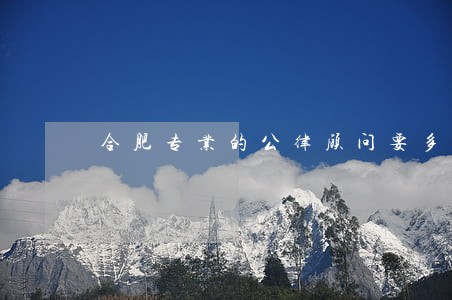 合肥专业的公律顾问要多少钱 合肥专业的公律顾问要多少钱