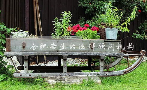 合肥专业的法律顾问机构