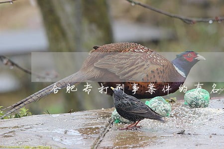 合肥专打刑事案件的有名律师 合肥专打刑事案件的有名律师
