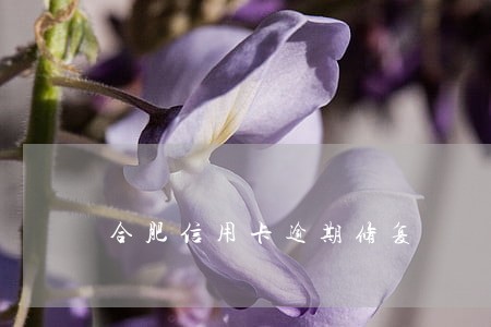 合肥信用卡逾期修复 合肥信用卡逾期修复