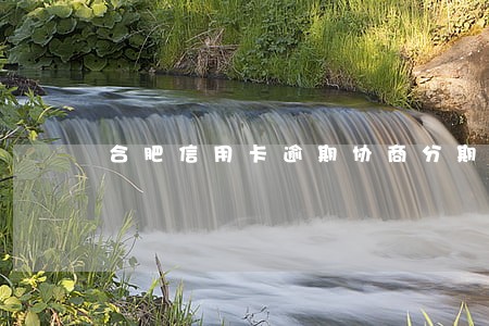 合肥信用卡逾期协商分期 合肥信用卡逾期协商分期