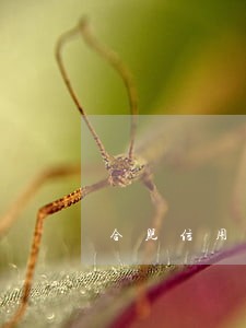 合肥信用卡逾期记录 合肥信用卡逾期记录