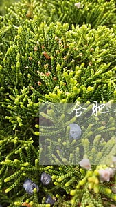 合肥债务债权律师咨询 合肥债务债权律师咨询