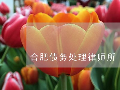 合肥债务处理律师所