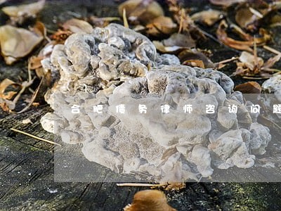 合肥债务律师咨询问题 合肥债务律师咨询问题