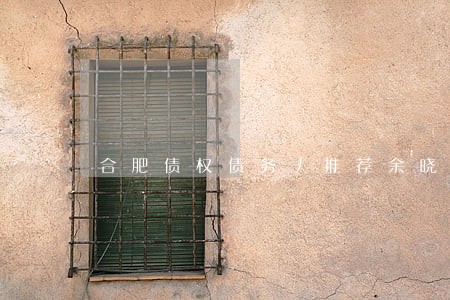 合肥债权债务丿推荐余晓林律师