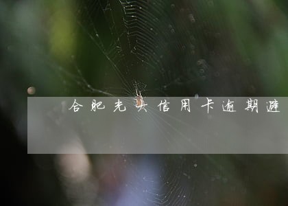 合肥光大信用卡逾期避免起诉