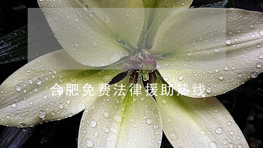 合肥免费法律援助热线 合肥免费法律援助热线