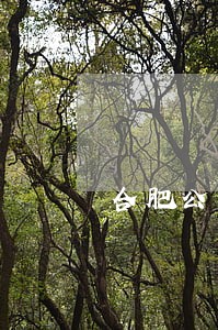 合肥公司的法律顾问兼职 合肥公司的法律顾问兼职