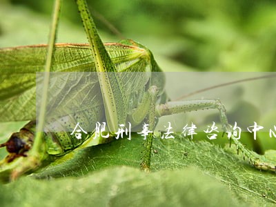 合肥刑事法律咨询中心 合肥刑事法律咨询中心