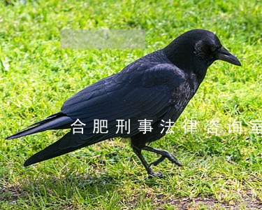 合肥刑事法律咨询室 合肥刑事法律咨询室