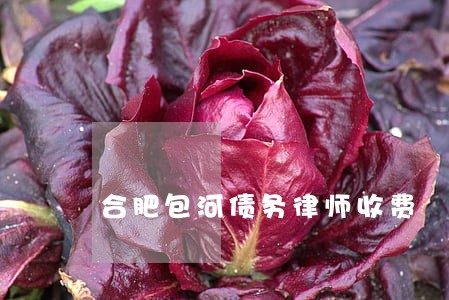 合肥包河债务律师收费 合肥包河债务律师收费