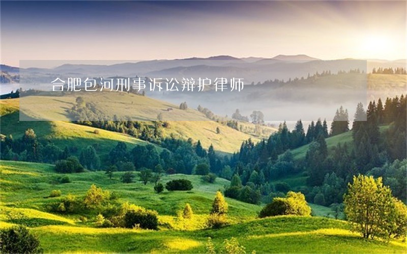 合肥包河刑事诉讼辩护律师 合肥包河刑事诉讼辩护律师