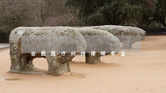 合肥医疗纠纷律师专业 合肥医疗纠纷律师专业