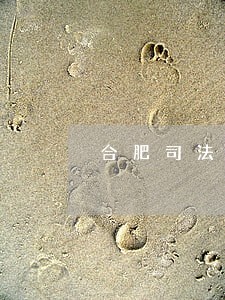 合肥司法动态 合肥司法动态