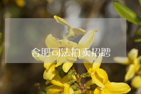 合肥司法拍卖招聘