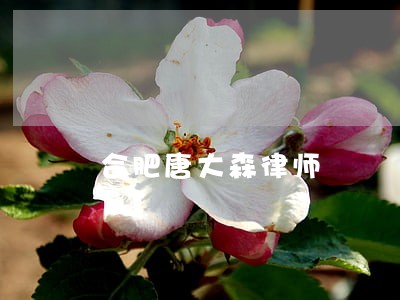 合肥唐大森律师 合肥唐大森律师