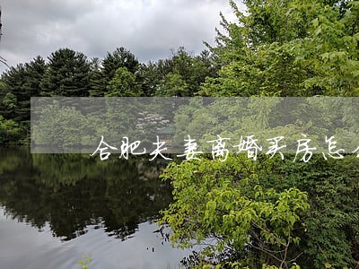 合肥夫妻离婚买房怎么操作