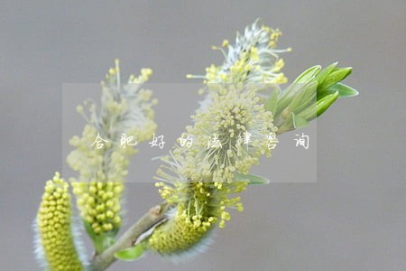 合肥好的法律咨询 合肥好的法律咨询