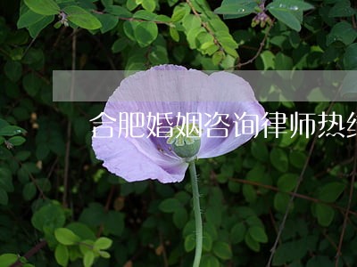 合肥婚姻咨询律师热线 合肥婚姻咨询律师热线