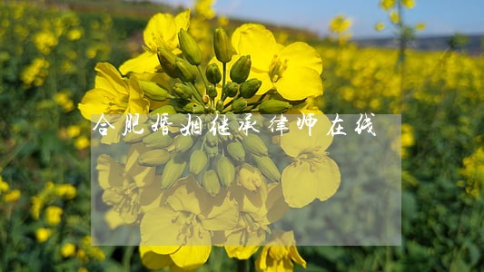 合肥婚姻继承律师在线 合肥婚姻继承律师在线