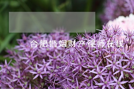 合肥婚姻财产律师在线 合肥婚姻财产律师在线