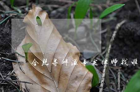合肥寻衅滋事案律师找谁好