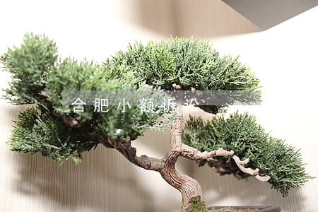 合肥小额诉讼 合肥小额诉讼
