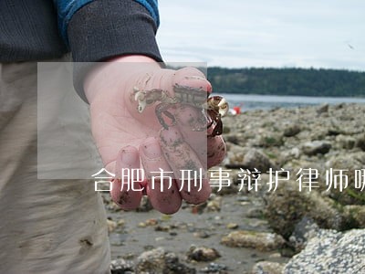 合肥市刑事辩护律师哪里找 合肥市刑事辩护律师哪里找