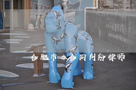 合肥市办合同纠纷律师 合肥市办合同纠纷律师