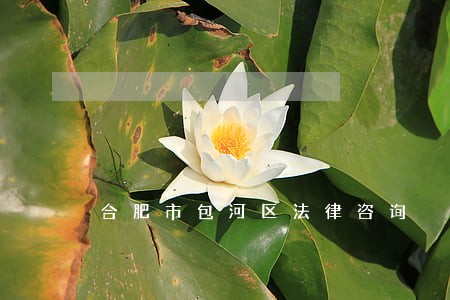 合肥市包河区法律咨询 合肥市包河区法律咨询