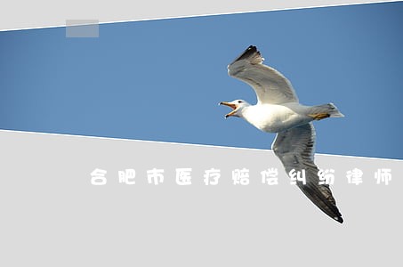 合肥市医疗赔偿纠纷律师推荐 合肥市医疗赔偿纠纷律师推荐