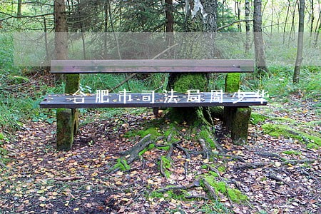 合肥市司法局周少华 合肥市司法局周少华