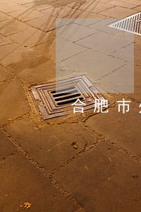 合肥市处理刑事律师怎么找 合肥市处理刑事律师怎么找