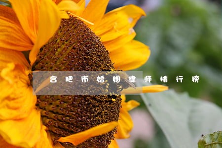 合肥市婚姻律师排行榜 合肥市婚姻律师排行榜