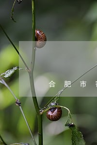 合肥市寄递事业司法营销中心