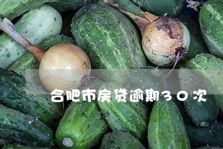 合肥市房贷逾期30次