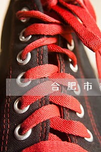 合肥市教育局法规处 合肥市教育局法规处