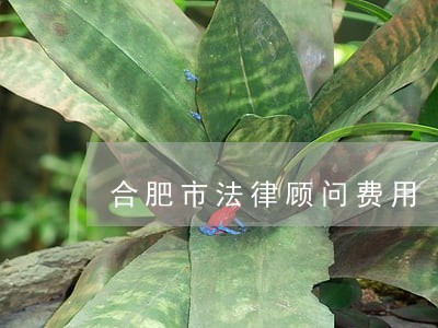 合肥市法律顾问费用 合肥市法律顾问费用