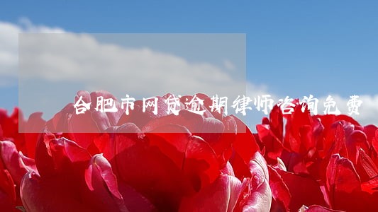 合肥市网贷逾期律师咨询免费 合肥市网贷逾期律师咨询免费