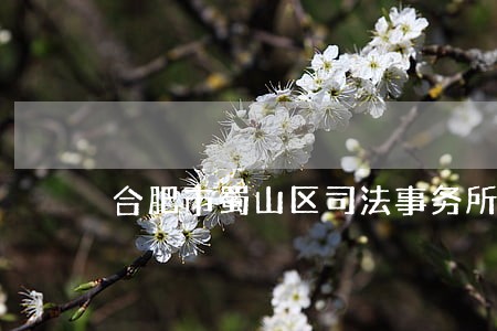 合肥市蜀山区司法事务所